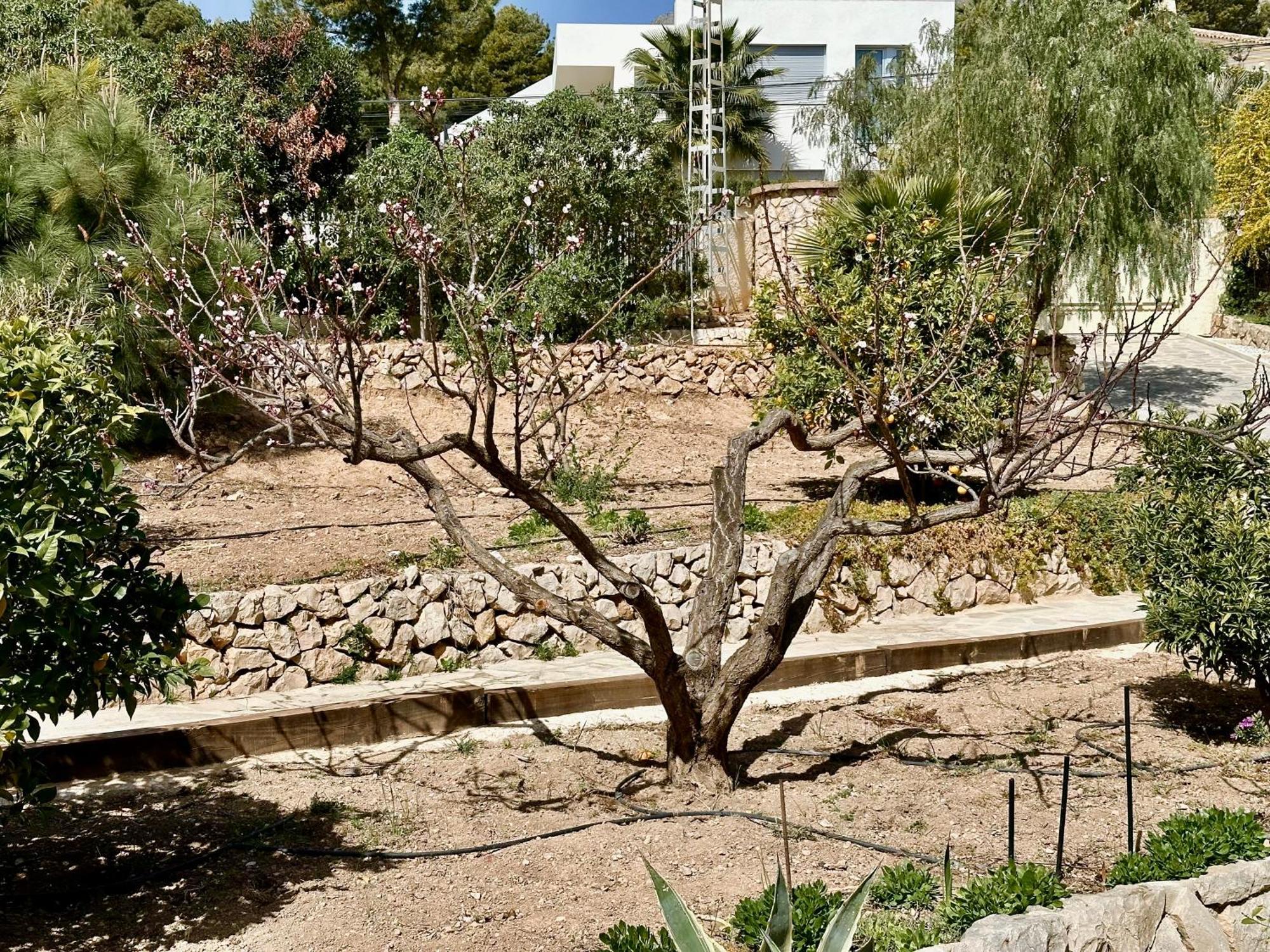 Vila Casa Puput Altea Exteriér fotografie